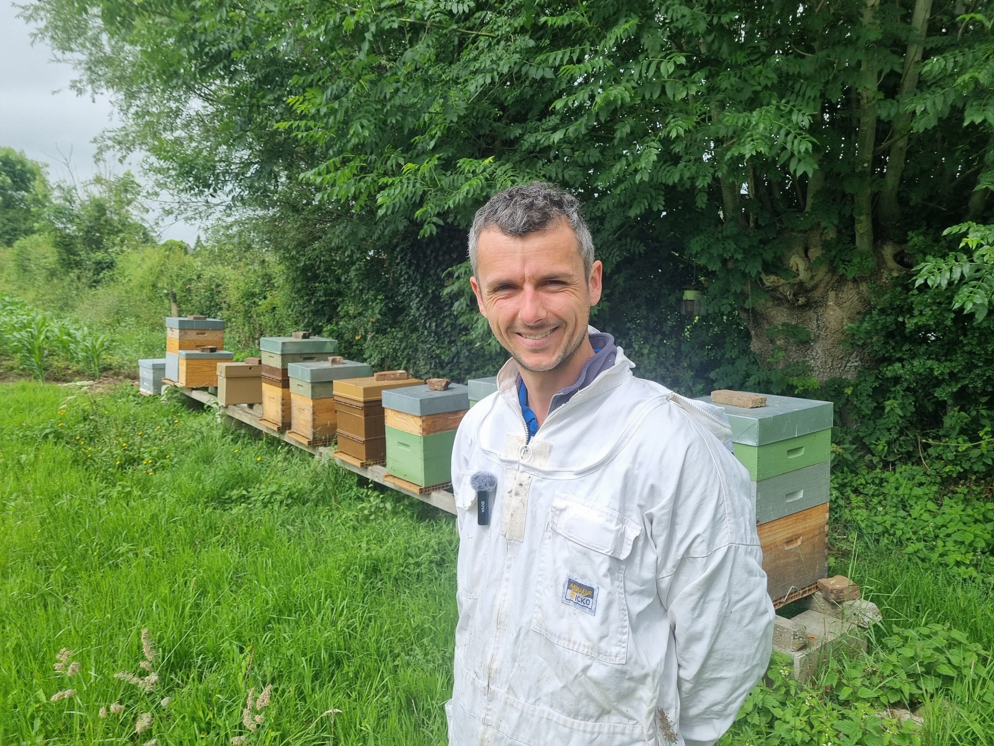 apiculture