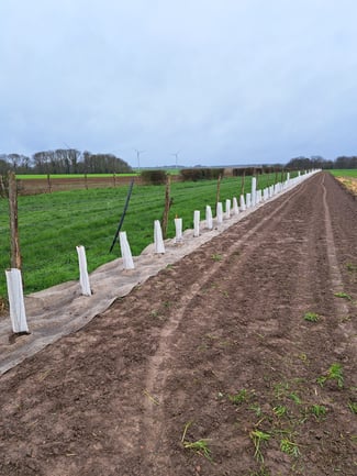 quatre linéaires stratégiques