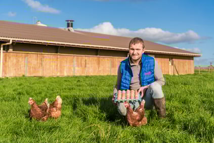 Cocorette accompagne l’installation de nouveaux éleveurs.