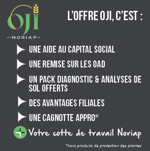 Détail de l'offre OJI