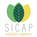 logo Sicap