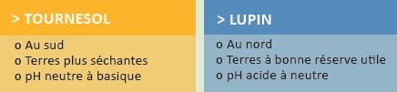 resume lupin tournesol