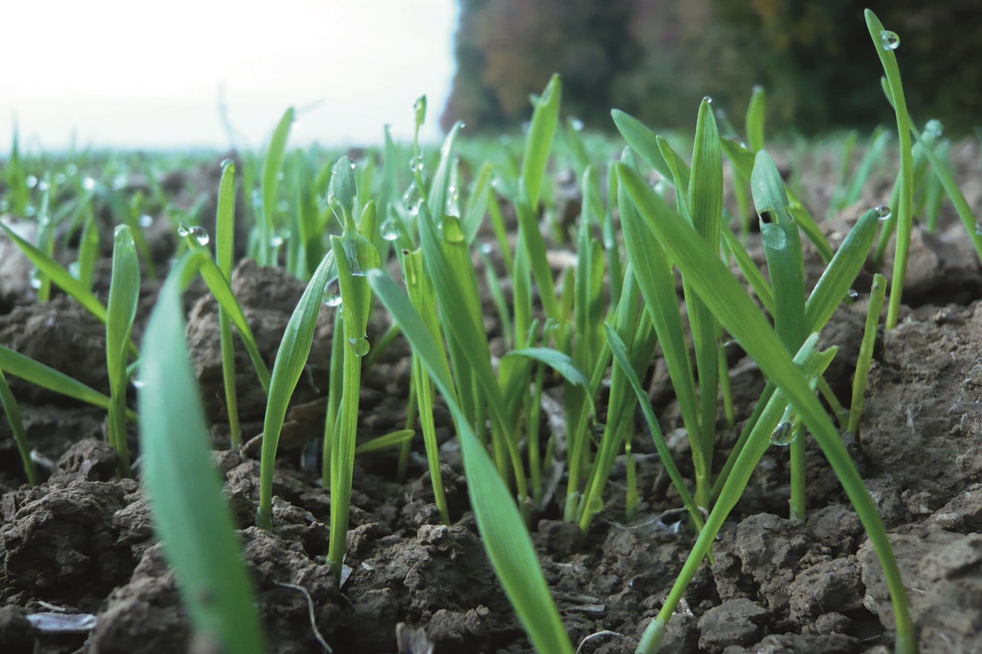 OJI-nouvelle-offre-pour-les-jeunes-agriculteurs-installés