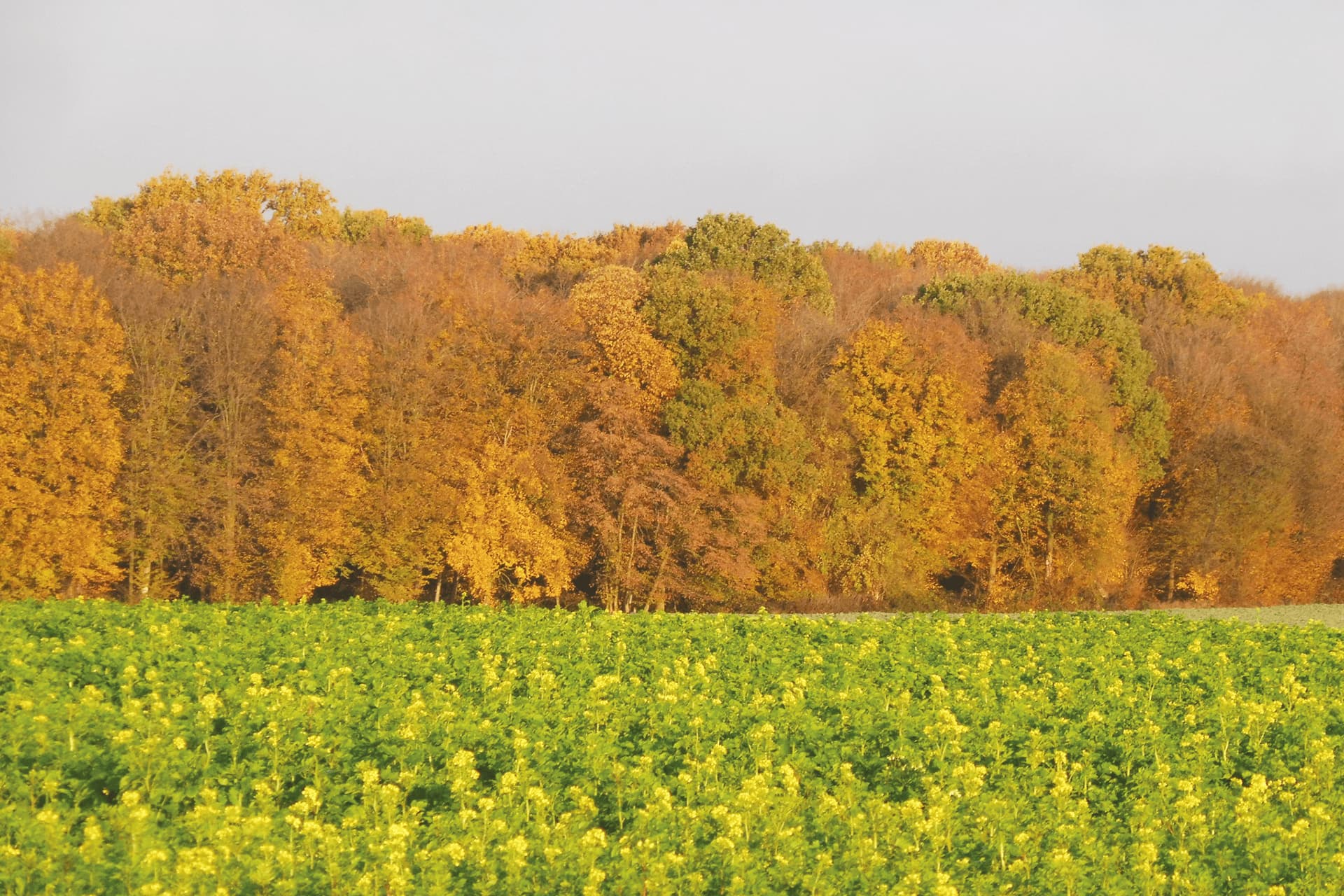 blogpost_agri_conservation-les-cles-pour-se-lancer