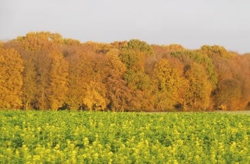 blogpost_agri_conservation-les-cles-pour-se-lancer_thumbnail