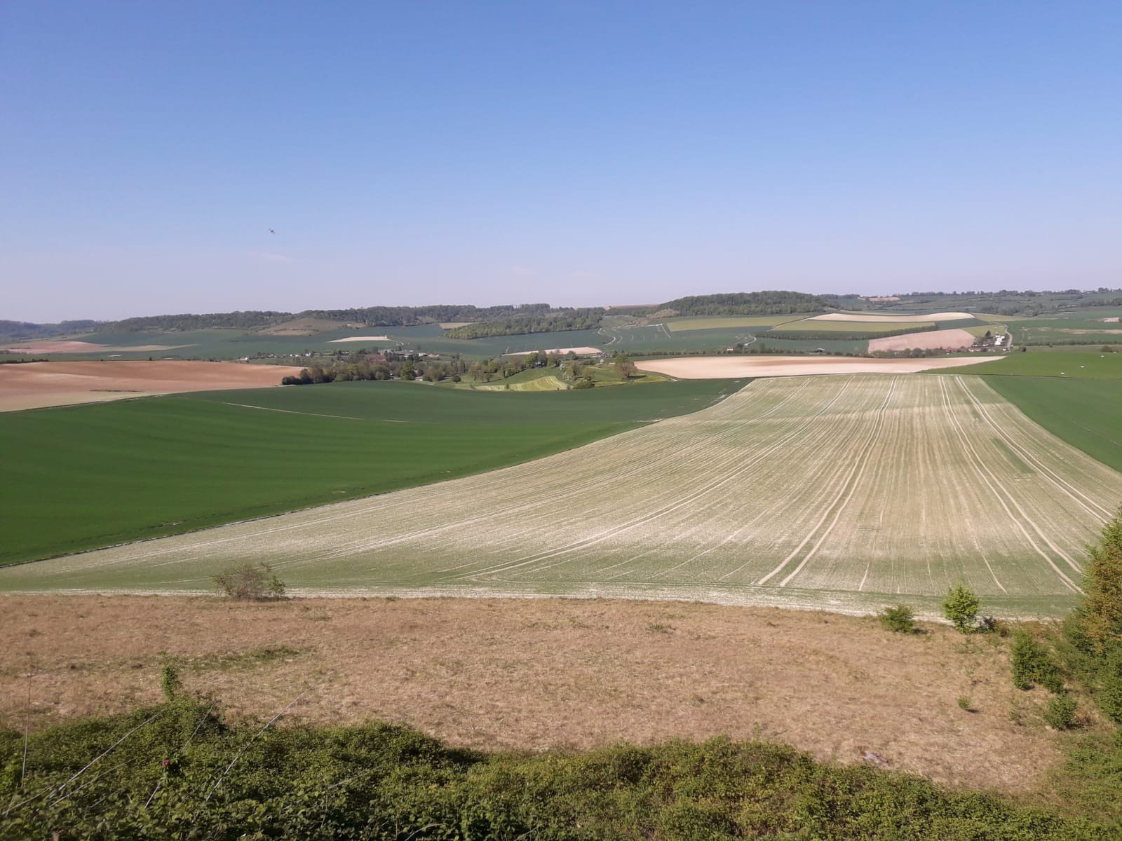 Agriculture de précision - parcellaire