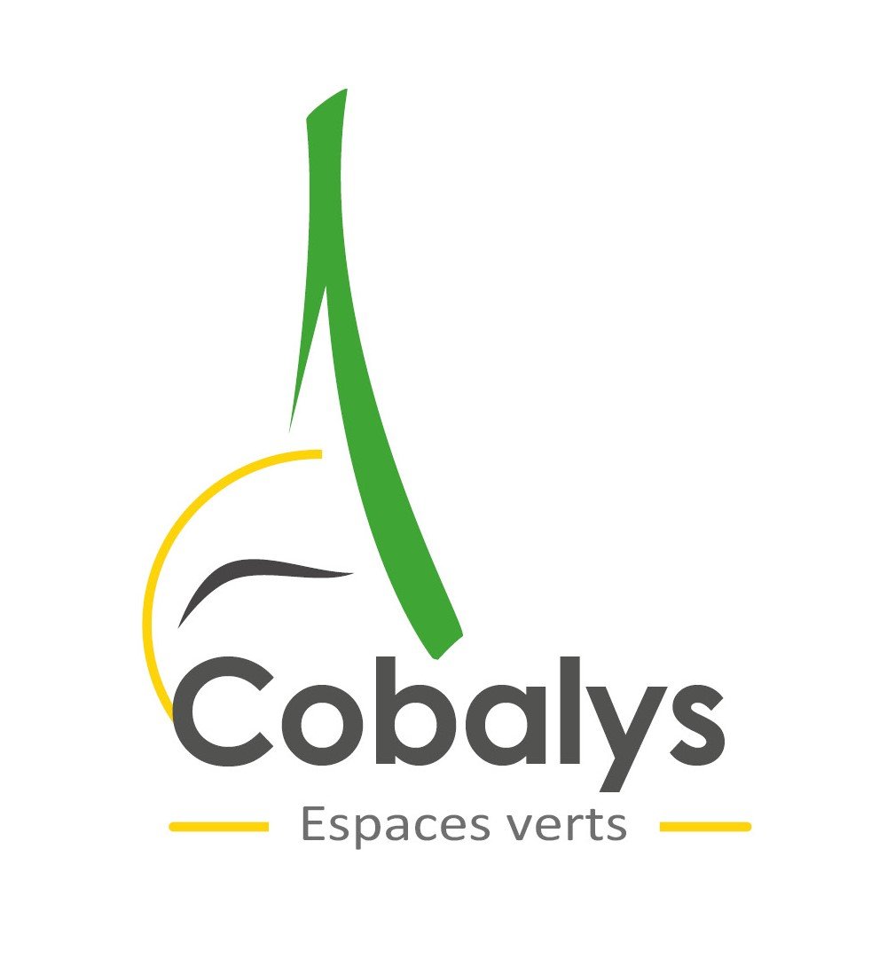 COBALYS - Préparateur de commandes