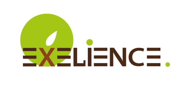 Excelience