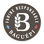 logo_baguepi